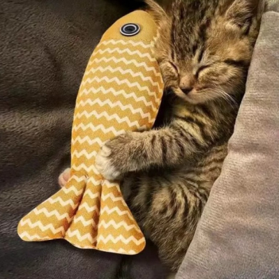 2923