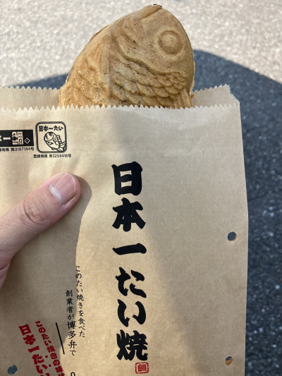 4231