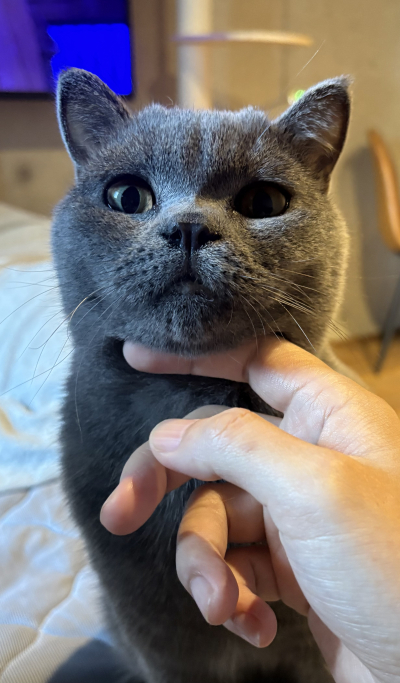 5309