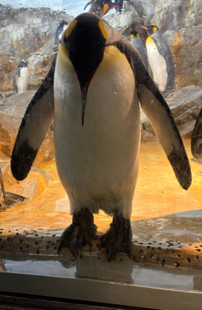 6396