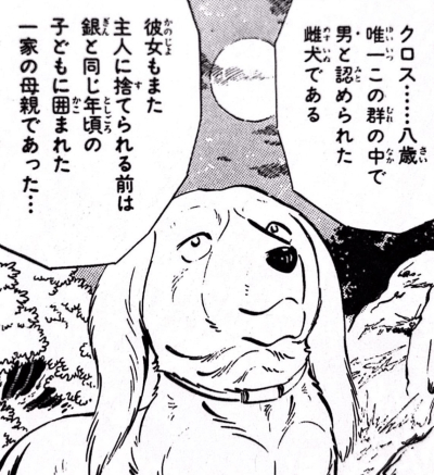 6813