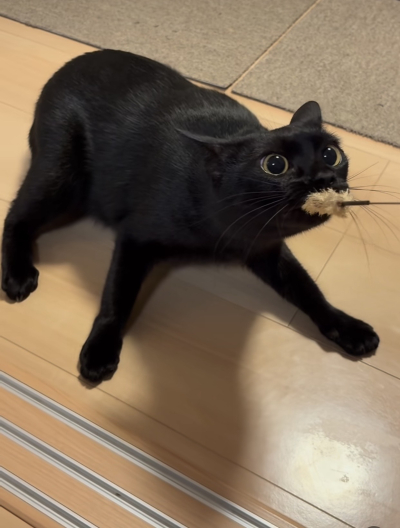 7374