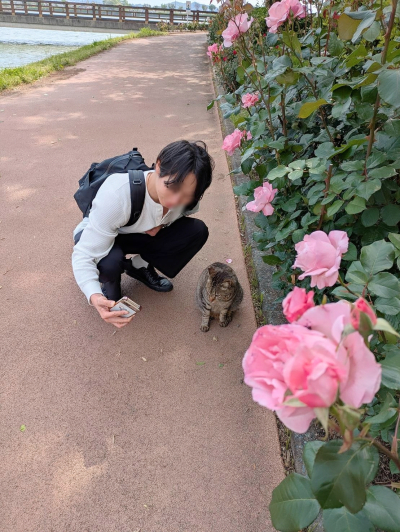 せら