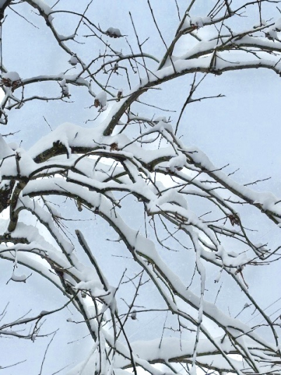 やす (37) 近江 萬天堂 / 出張性感マッサージ