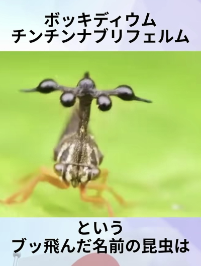 7477