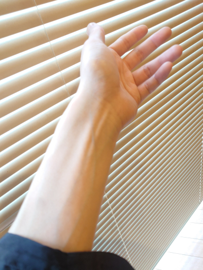 7904