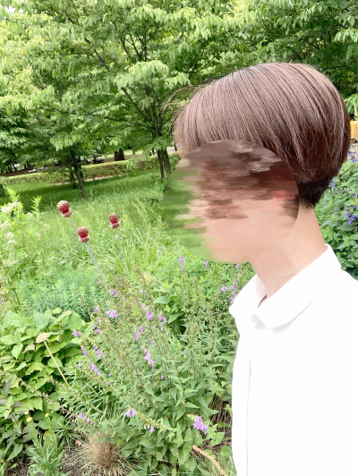 和葵