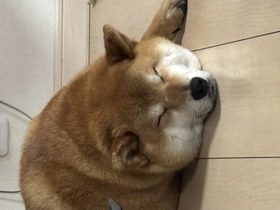 8045