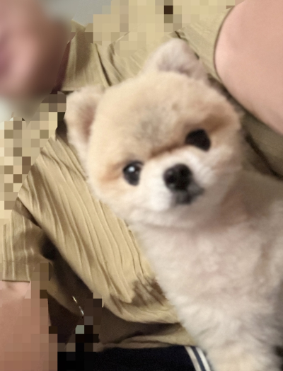 8090