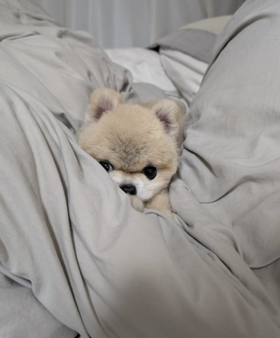 8090
