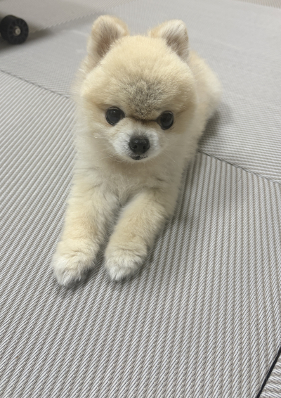 8090