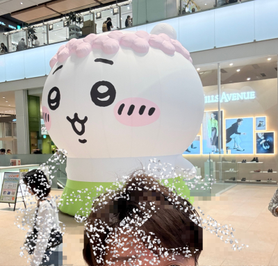 8090