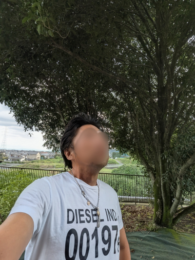 雄也